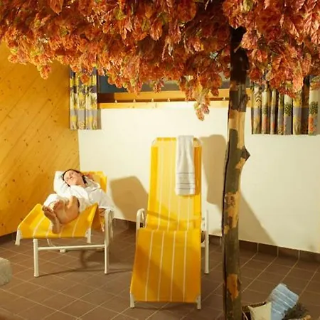 Apartment Muehle Kaprun Re-Opening November 2026