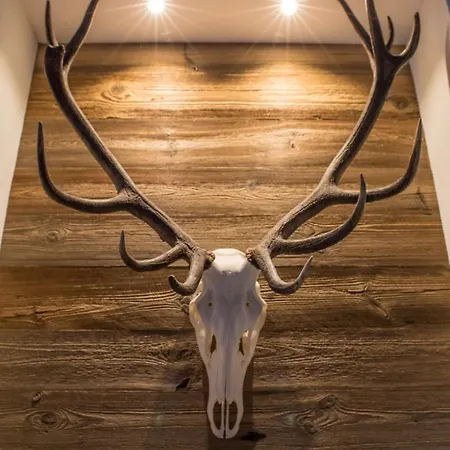 Appartement Muehle - Including Wellness Area, Sauna, Whirlpool Kaprun