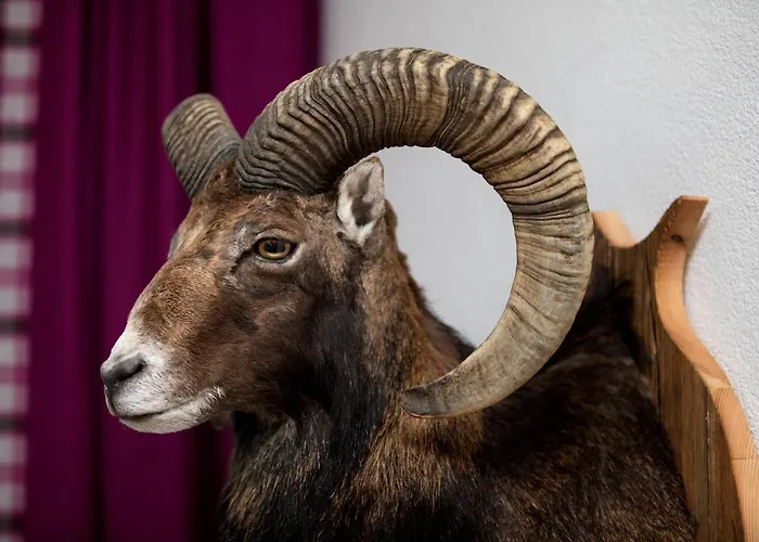 Appartamento Muehle - Including Wellness Area, Sauna, Whirlpool